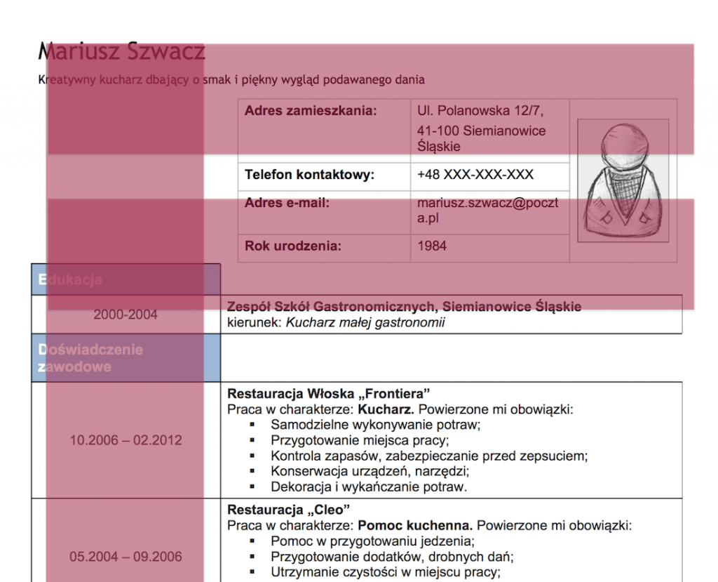 Jak rekruter analizuje CV?