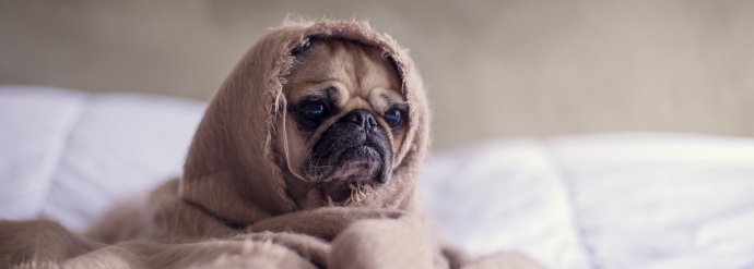 CV a brak doświadczenia