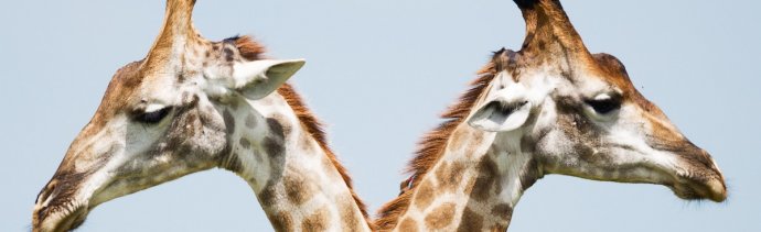 Dwa kierunki studiów