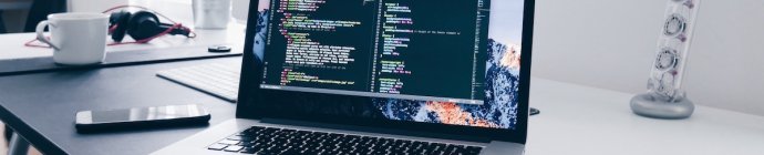 Programista.NET – zarobki