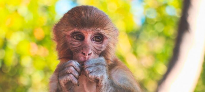 Praca online – nie tylko same zalety...