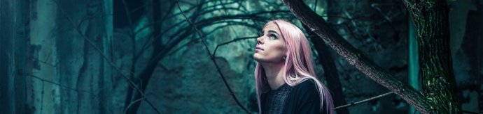 Zasada ograniczonego zaufania