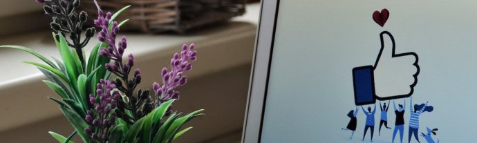 Czy we Francji lubią Polaków?