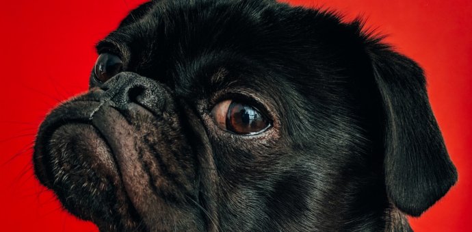 Agencje pracy tymczasowej - FAQ