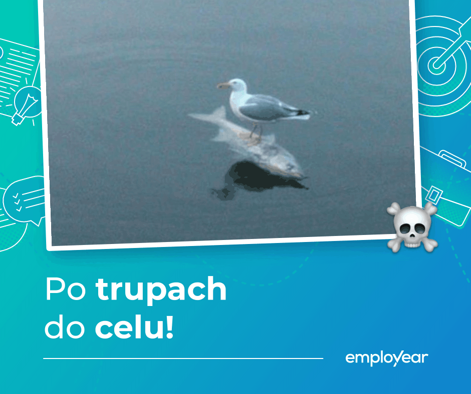 Memy o pracy - memy o współpracownikach