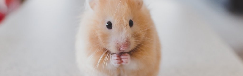 Na co uważać przy wyborze agencji?