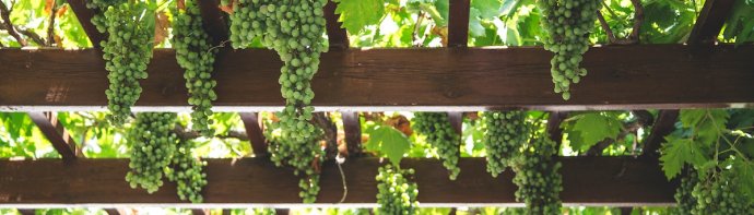 Praca tymczasowa w Niemczech