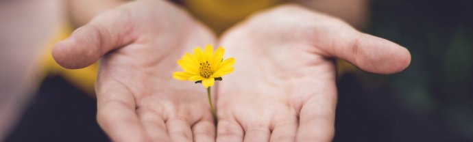 Umowa zlecenia - korzyści