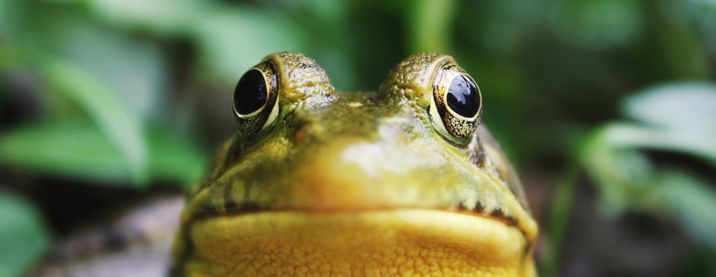 Jak powinno wyglądać CV - rada 2