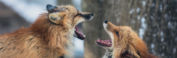 Konflikty ze współpracownikami