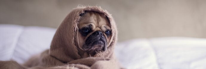 Zła praca = dużo stresu